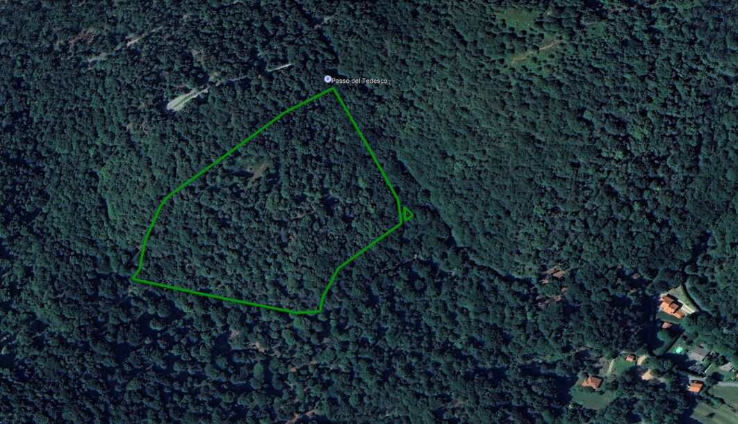 CUASSO AL MONTE, ALPE TEDESCO, TERRENO BOSCHIVO-23