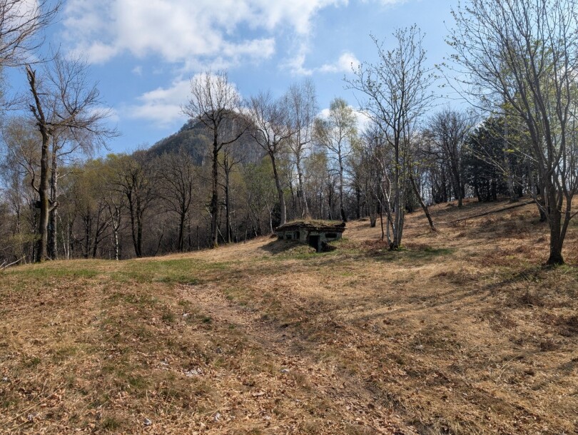 CUASSO AL MONTE, ALPE TEDESCO, TERRENO BOSCHIVO-1