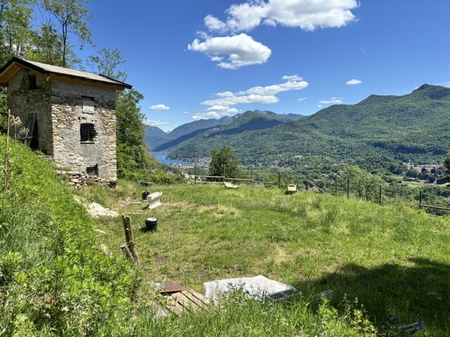 BISUSCHIO, TERRENO AGRICOLO CON VISTA LAGO-4