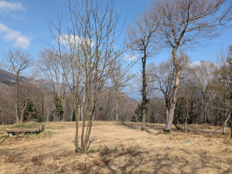 CUASSO AL MONTE, ALPE TEDESCO, TERRENO BOSCHIVO-5