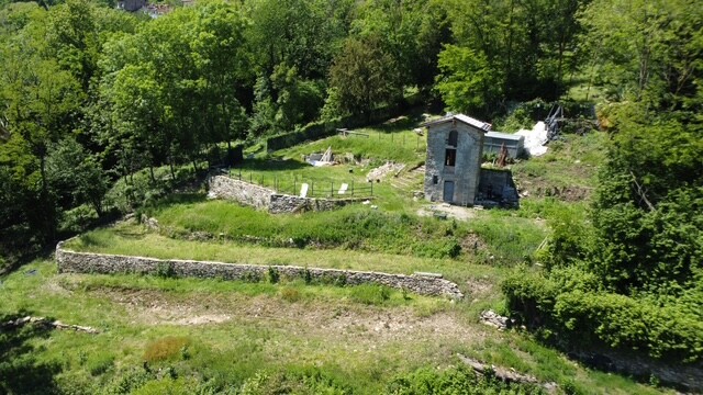 BISUSCHIO, TERRENO AGRICOLO CON VISTA LAGO-6